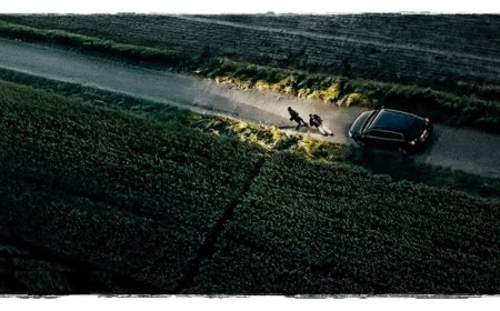 Brutale Morde und das krasse Muster dahinter: Viel Atmosphäre & Spannung im Trailer zum Thriller "Rapaces"