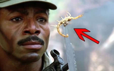 Stoppt "Predator" bei 32 Minuten und 29 Sekunden – und entdeckt einen brutalen Filmfehler!