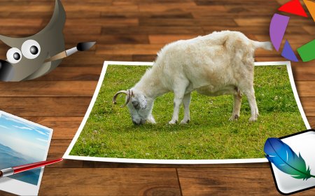 Photoshop-Alternativen kostenlos: Die besten Gratis-Bildbearbeiter