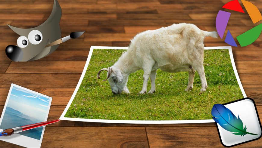 Photoshop-Alternativen kostenlos: Die besten Gratis-Bildbearbeiter