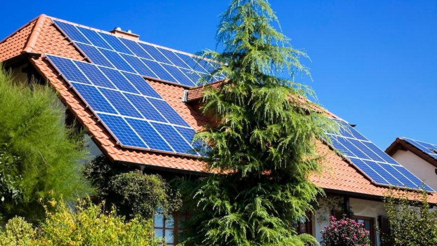 Baum verschattet Ihre Solaranlage: Muss die Stadt ihn für Sie fällen?
