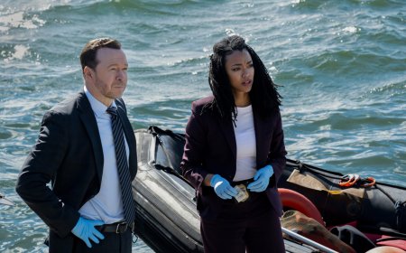 Serien-Spin-off: BOSTON BLUE – Donnie Wahlberg ermittelt ab 2026 für Sky in Boston