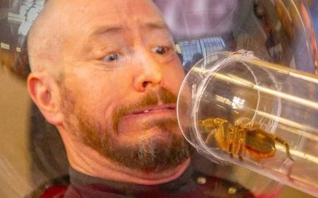 Fans dürfen sich freuen: Eine der legendärsten Kult-Reihen geht doch noch weiter – und zwar schon in diesem Jahr!