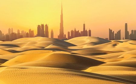 UAE launches AI ecosystem to boost climate-resilient agriculture worldwide