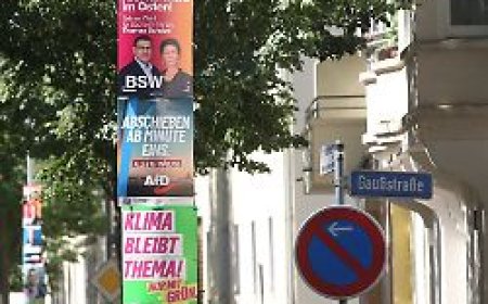 Umfrage zu Sachsen-Anhalt: AfD baut Führung aus - aber die Grünen werden zum Spielverderber