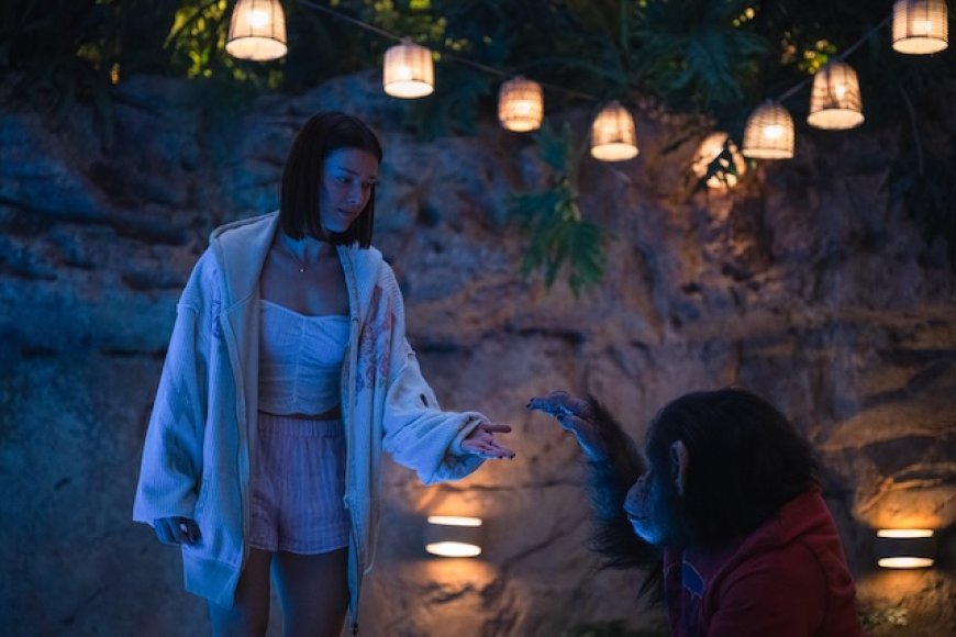 Paramount+ Highlights im August 2026: Lioness Staffel 3 und hochkarätige Film-Releases angekündigt
