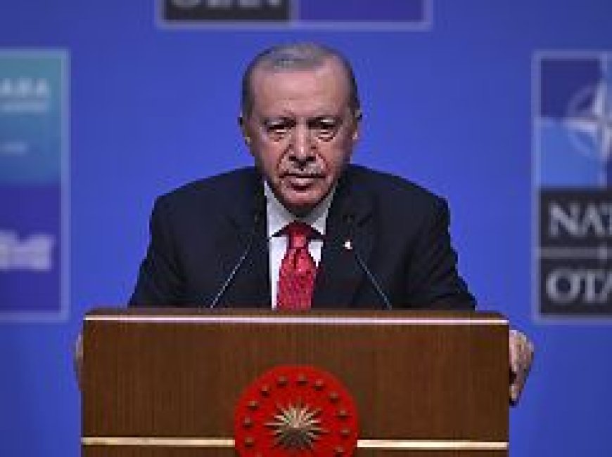 Erst populär, dann angeklagt: Wie Erdogan sich seit dem Putschversuch eine Opposition gebastelt hat