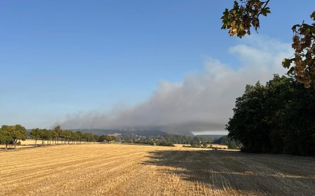 Trockenheit - Waldbrände in mehreren Bundesländern - Evakuierung in der Eifel