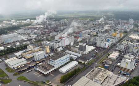 Erneuerbare Energie - Energieunternehmen Wacker wünscht sich mehr Planungssicherheit