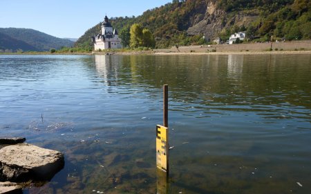 Trockenheit - Rheinpegel bei Kaub auf historischem Tiefstand, Bodensee-Wasserstand auf Jahrestief