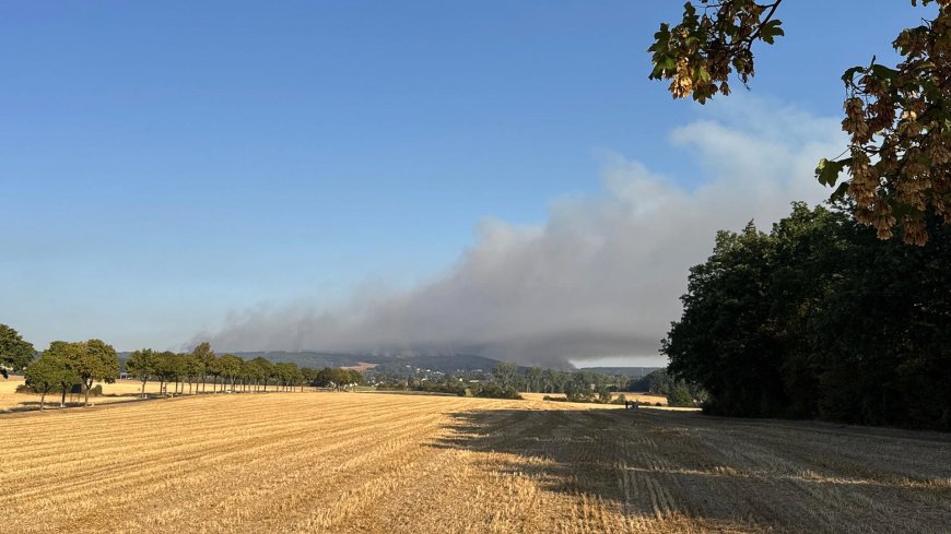 Trockenheit - Waldbrände in mehreren Bundesländern - Evakuierung in der Eifel