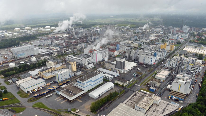 Erneuerbare Energie - Energieunternehmen Wacker wünscht sich mehr Planungssicherheit