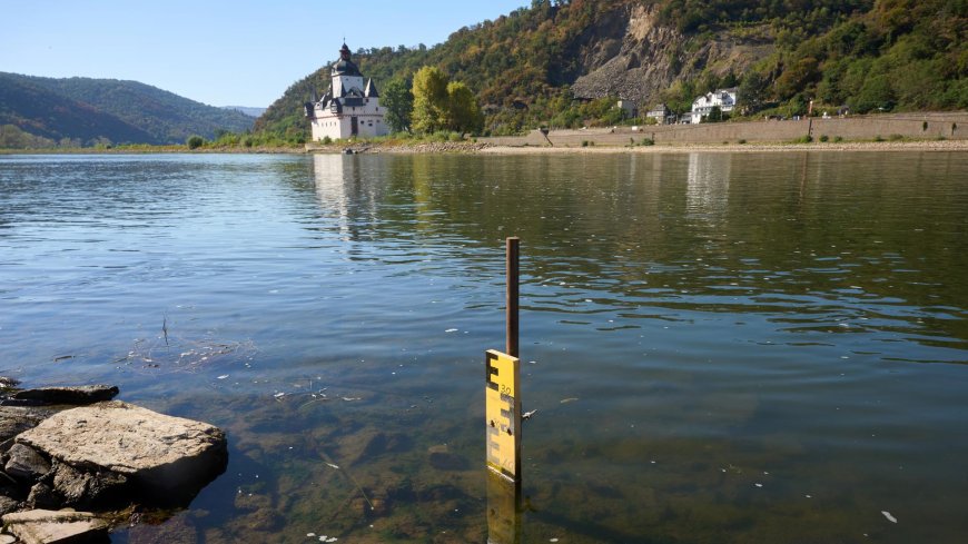 Trockenheit - Rheinpegel bei Kaub auf historischem Tiefstand, Bodensee-Wasserstand auf Jahrestief