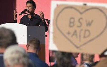 "Wirklich schräge Figuren": Wagenknecht empört sich über AfD-Spitze in Sachsen-Anhalt