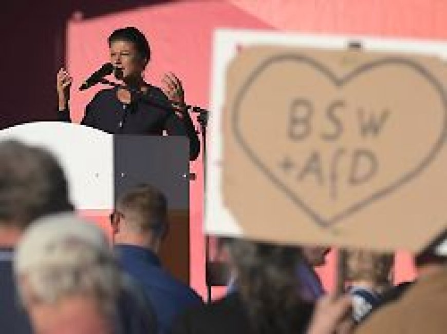"Wirklich schräge Figuren": Wagenknecht empört sich über AfD-Spitze in Sachsen-Anhalt